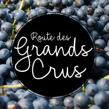 Les meilleures adresses de la Côte de Nuits